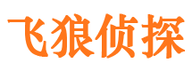 沙河口市侦探调查公司